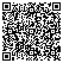 QR 2D P2425E