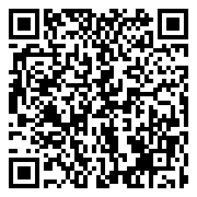 QR 2D S4P29A