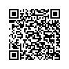 QR 2D DTMAX/256GB