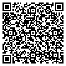QR 2D EP2-54789