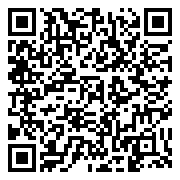 QR 2D ZLW-00016
