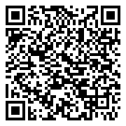 QR 2D EP2-54729