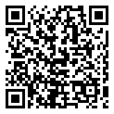 QR 2D 67065