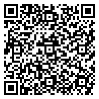QR 2D EP2-81953