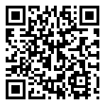 QR 2D V13H010L93