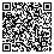 QR 2D P62203-B21