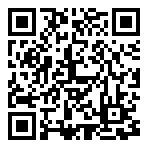 QR 2D PRESTIGE 13 AI+ EVO A2VMG-015AU