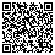 QR 2D B93CZPT
