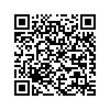 QR 2D E10GSFPSR