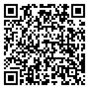 QR 2D AH167B
