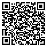 QR 2D PK8077105931100