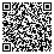 QR 2D EP2-47856
