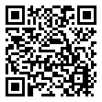 QR 2D PRESTIGE 13 AI+ EVO A2VMG-016AU