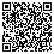 QR 2D PRESTIGE 13 AI EVO A1MG-085AU