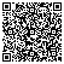 QR 2D EP2-65916