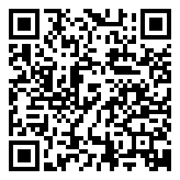 QR 2D MSSPSPV1101V2