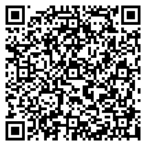 QR 2D EP2-66041