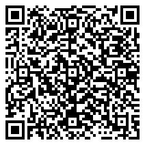 QR 2D 65099