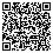 QR 2D A4VS2PT