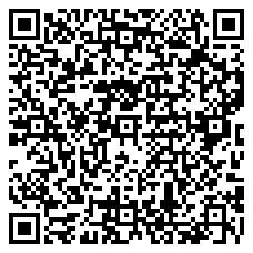 QR 2D 9500120011-000413