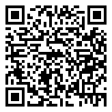 QR 2D HD5250GL