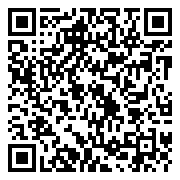 QR 2D CT2K16G48C40S5-P