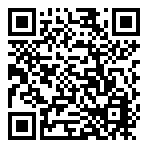 QR 2D V12H003P13