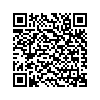 QR 2D C13T275292