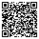 QR 2D EP2-50895