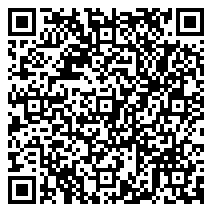 QR 2D B85MZPA
