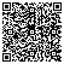 QR 2D 10009529