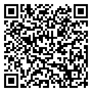 QR 2D SSTDC4D-LAPTOP-LOCK