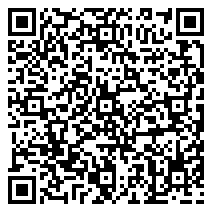 QR 2D 99101001000-000100