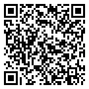 QR 2D ZJS-00016