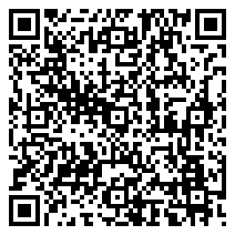 QR 2D EP2-60861