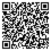 QR 2D HS5313GL