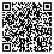 QR 2D ZJQ-00041