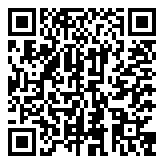 QR 2D 4P5D4AA