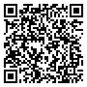 QR 2D BX806738160