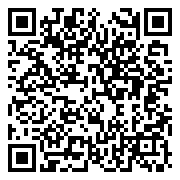 QR 2D PRESTIGE 13 AI+ EVO A2VMG-057AU