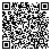 QR 2D ZJS-00041