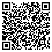 QR 2D ZJW-00016