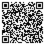 QR 2D PRESTIGE 14 FLIP AI+ D3MTG-217AU