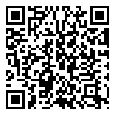 QR 2D P66247-B21