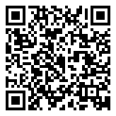 QR 2D QDD-4ZQ100-CU3M=