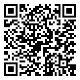QR 2D STB3B