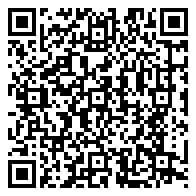 QR 2D 943500054
