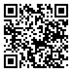 QR 2D PRESTIGE 13 AI+ UKIYOE ED A2VMG-079AU