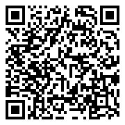 QR 2D PRESTIGE 13 AI A1MG VPRO-257AU