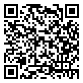 QR 2D 4X20V24719